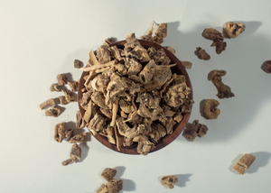 Raiz de Bardana / Burdock Root